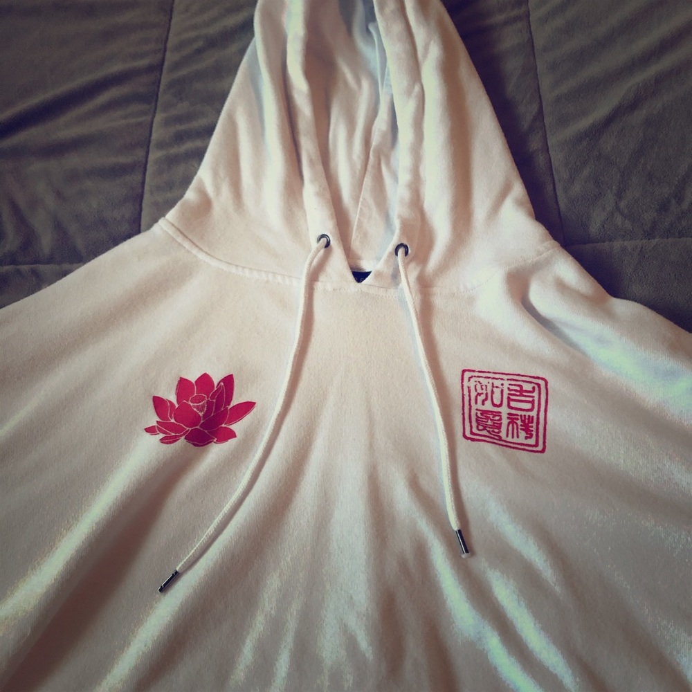 Zumiez cropped hoodie